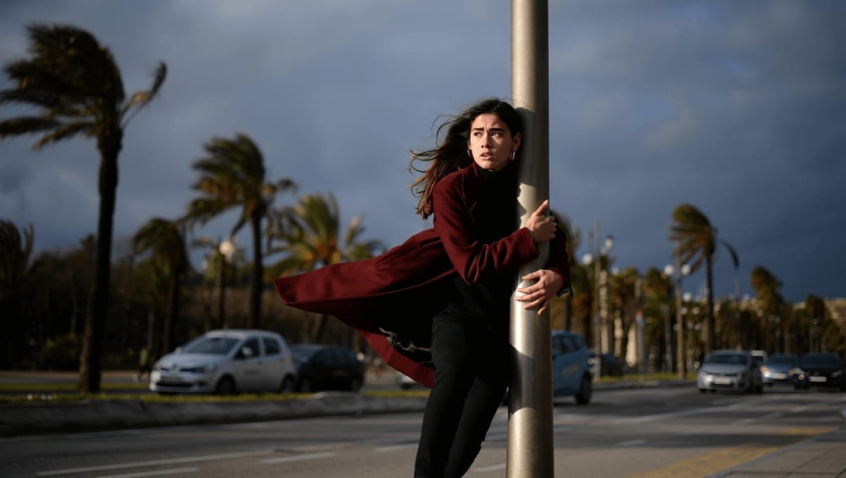 
     Alerta por fuerte viento en Barcelona: esto es lo que debes hacer si recibes un ES-Alert en el móvil   