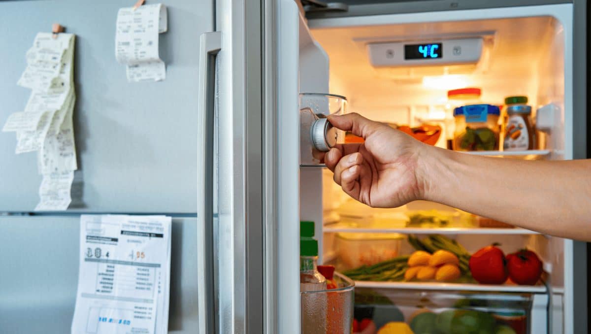 A esta temperatura debes ajustar el refrigerador para evitar que consuma mucha energíaPor Dylan Escobar Ruiz