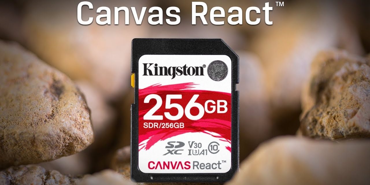 Kingston Canvas React